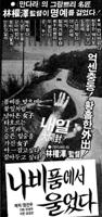 花蝴蝶6免费播放高清电视剧